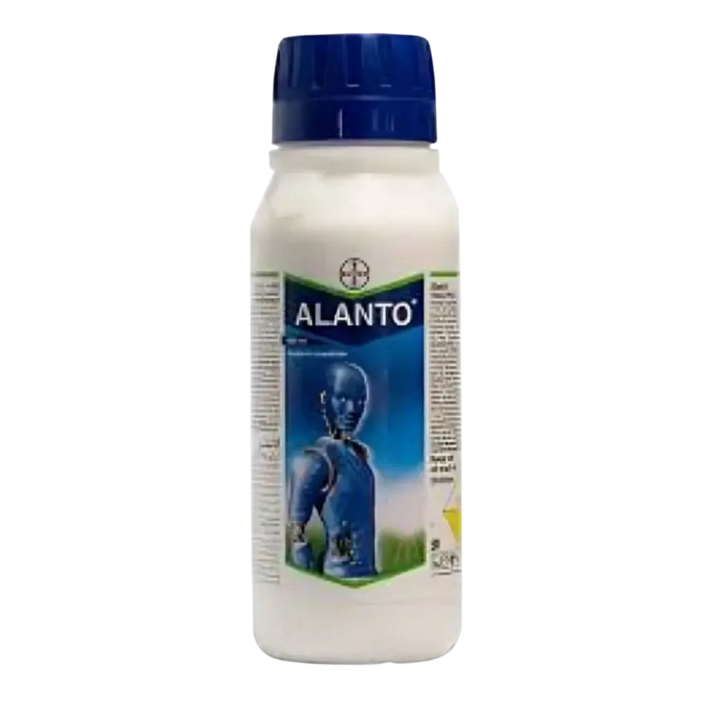 ALANTO 1 1024x10241 1