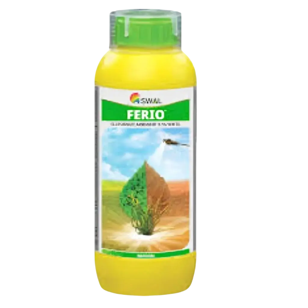 FERIO 1 1024x10241 1