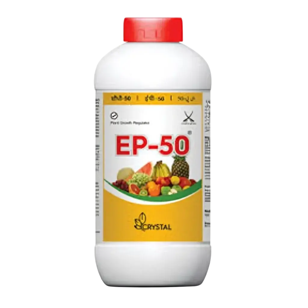 ep 50 1024x10241 1