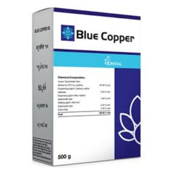 BLUECPR 1 580x580